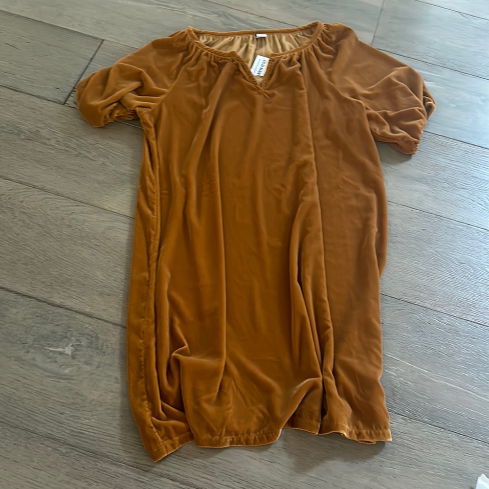 Velvet Dress